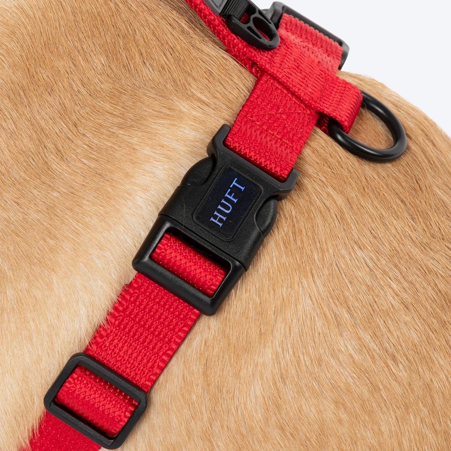 HUFT Classic H Harness for Dogs — detail shot