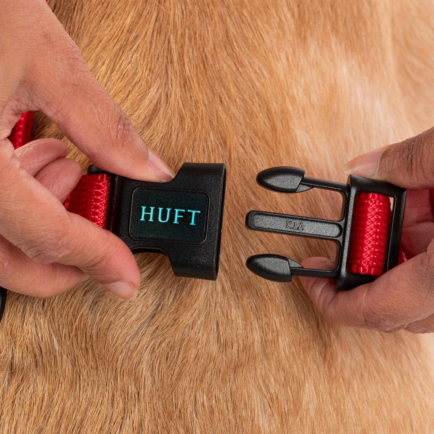 HUFT Classic H Harness for Dogs — in use