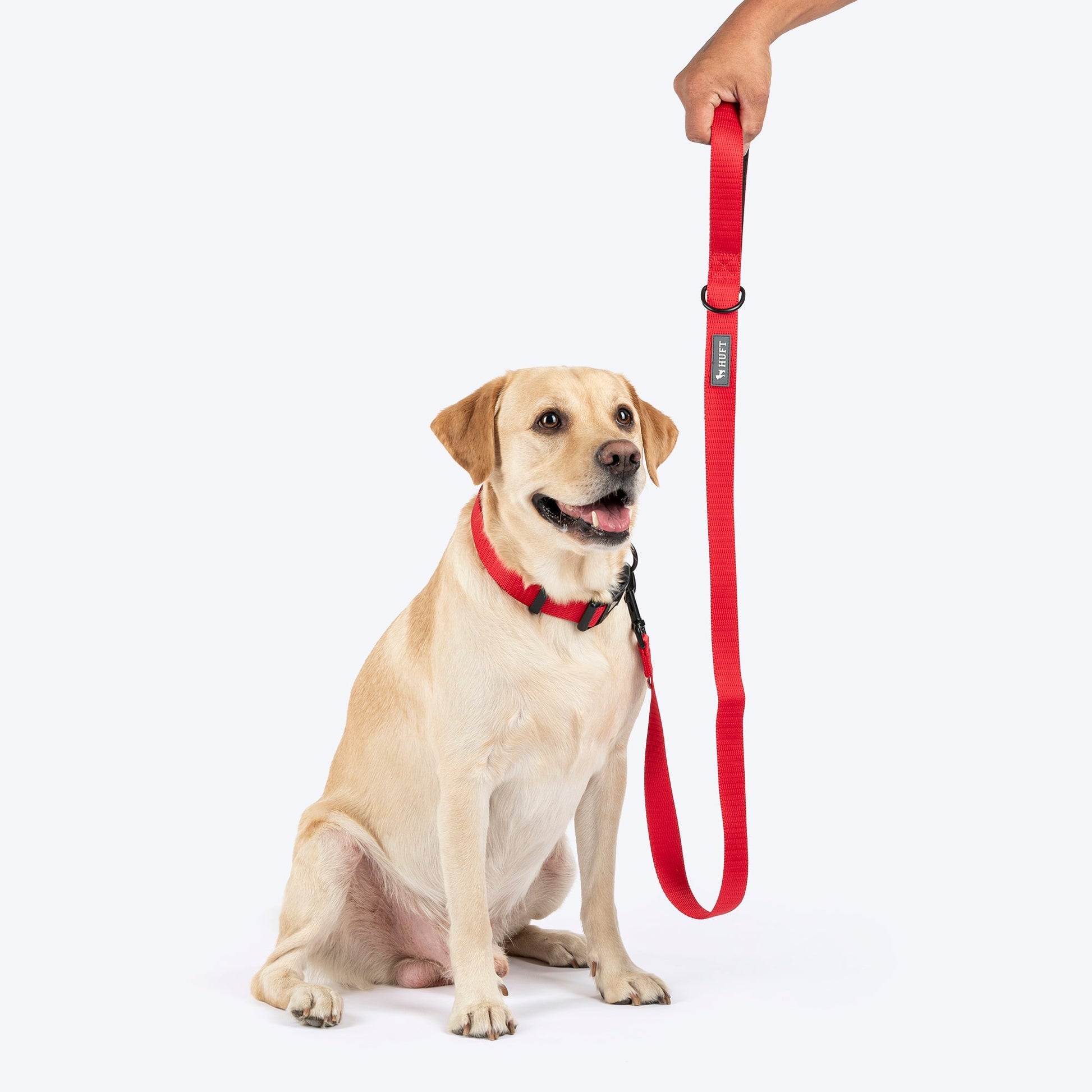 HUFT Classic Leash for Dogs — back view