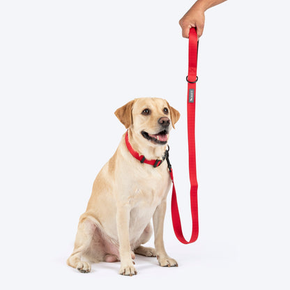 HUFT Classic Leash for Dogs — back view