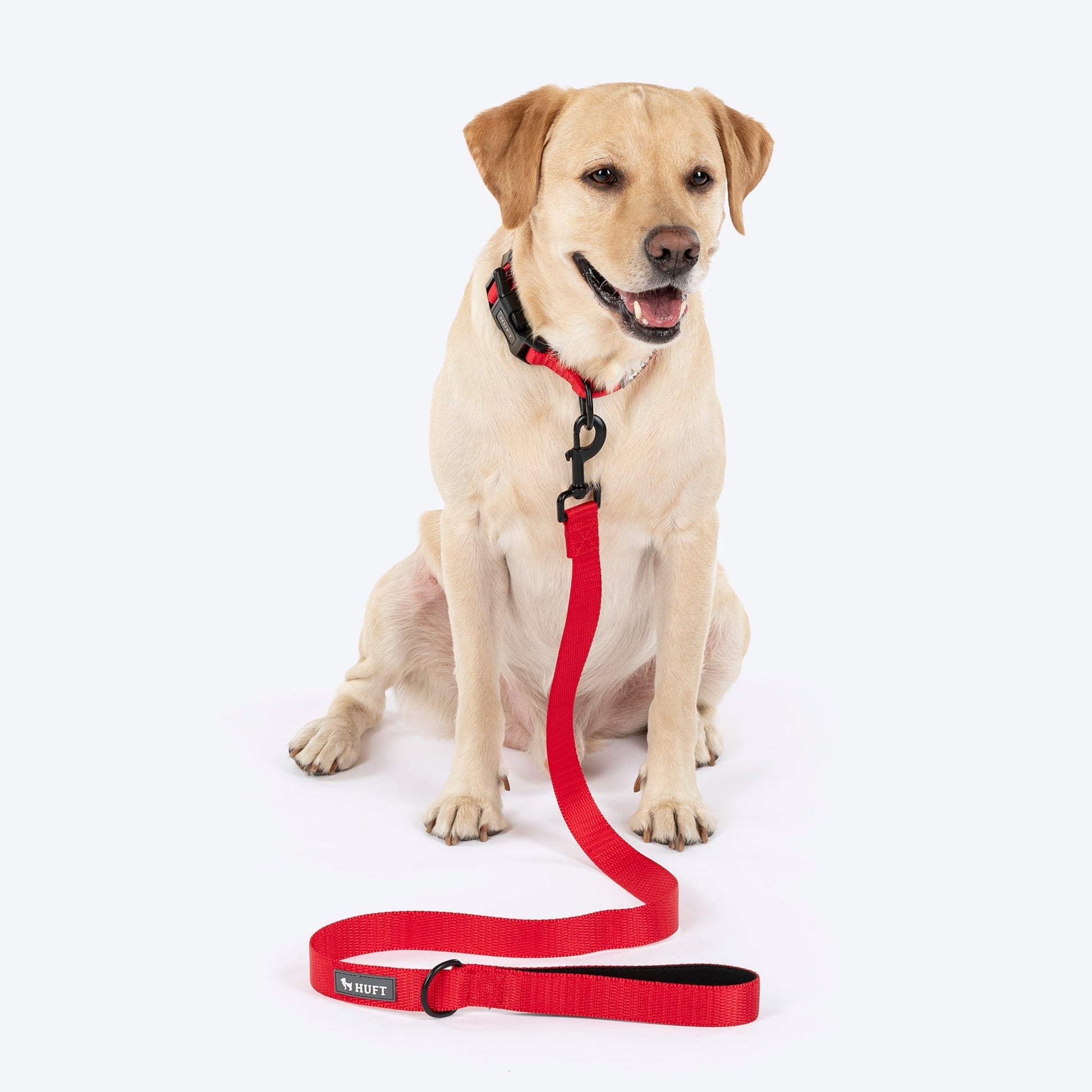HUFT Classic Leash for Dogs — detail shot