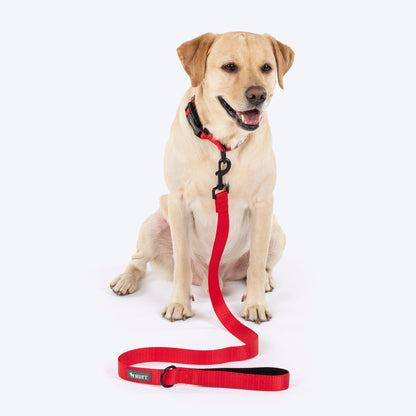HUFT Classic Leash for Dogs — detail shot