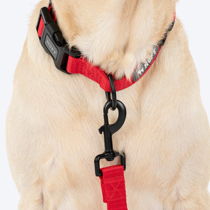 HUFT Classic Leash for Dogs — in use