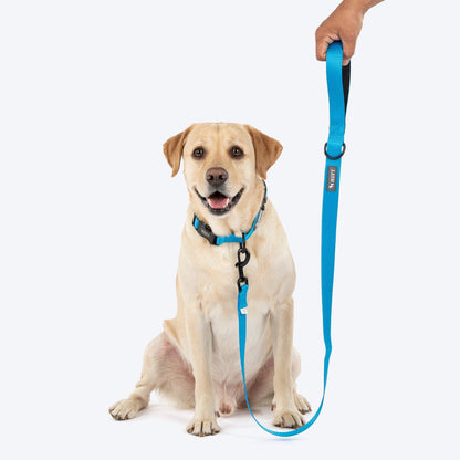 HUFT Classic Leash for Dogs — back view