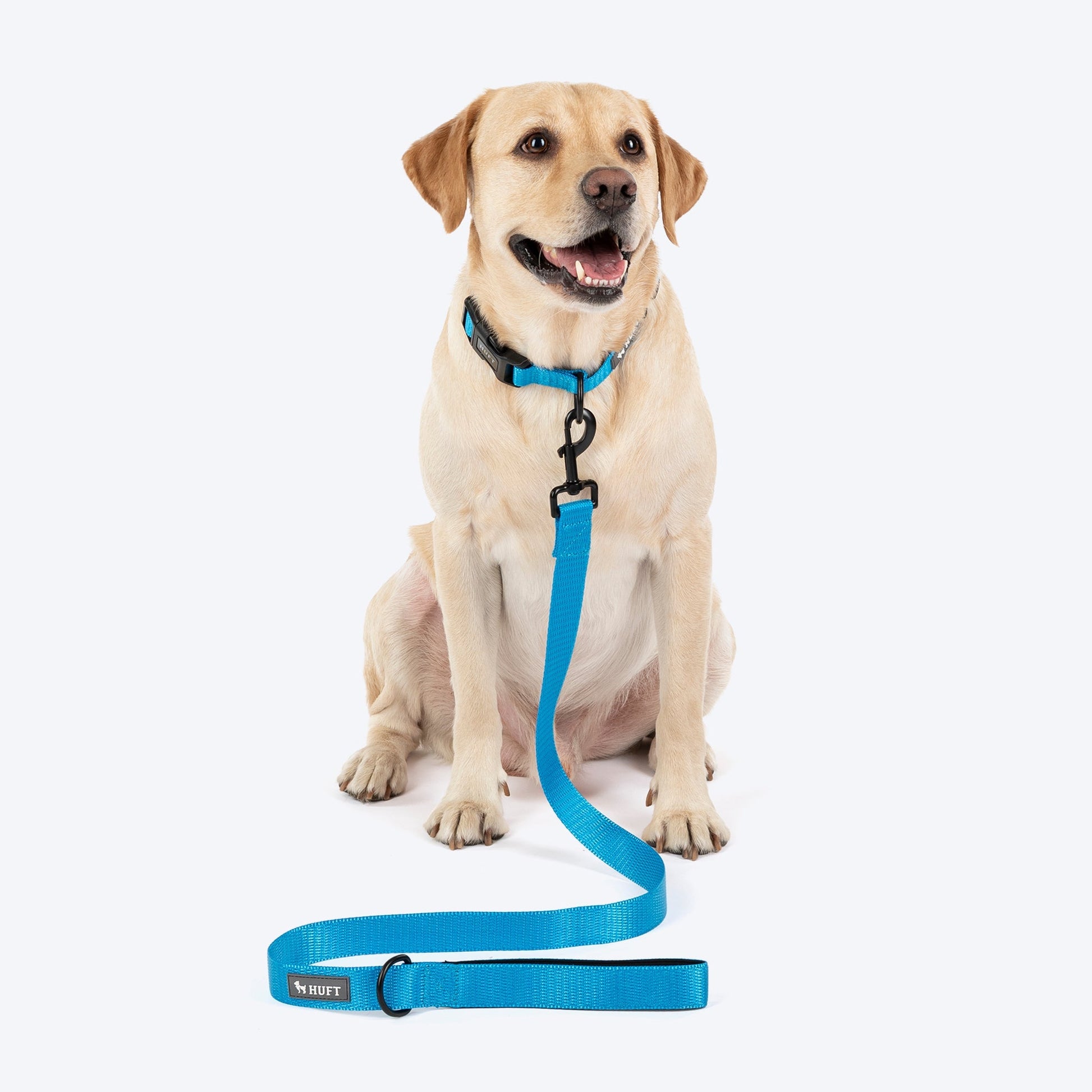 HUFT Classic Leash for Dogs — detail shot