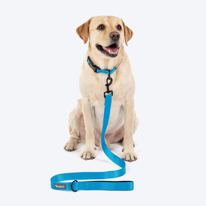 HUFT Classic Leash for Dogs — detail shot