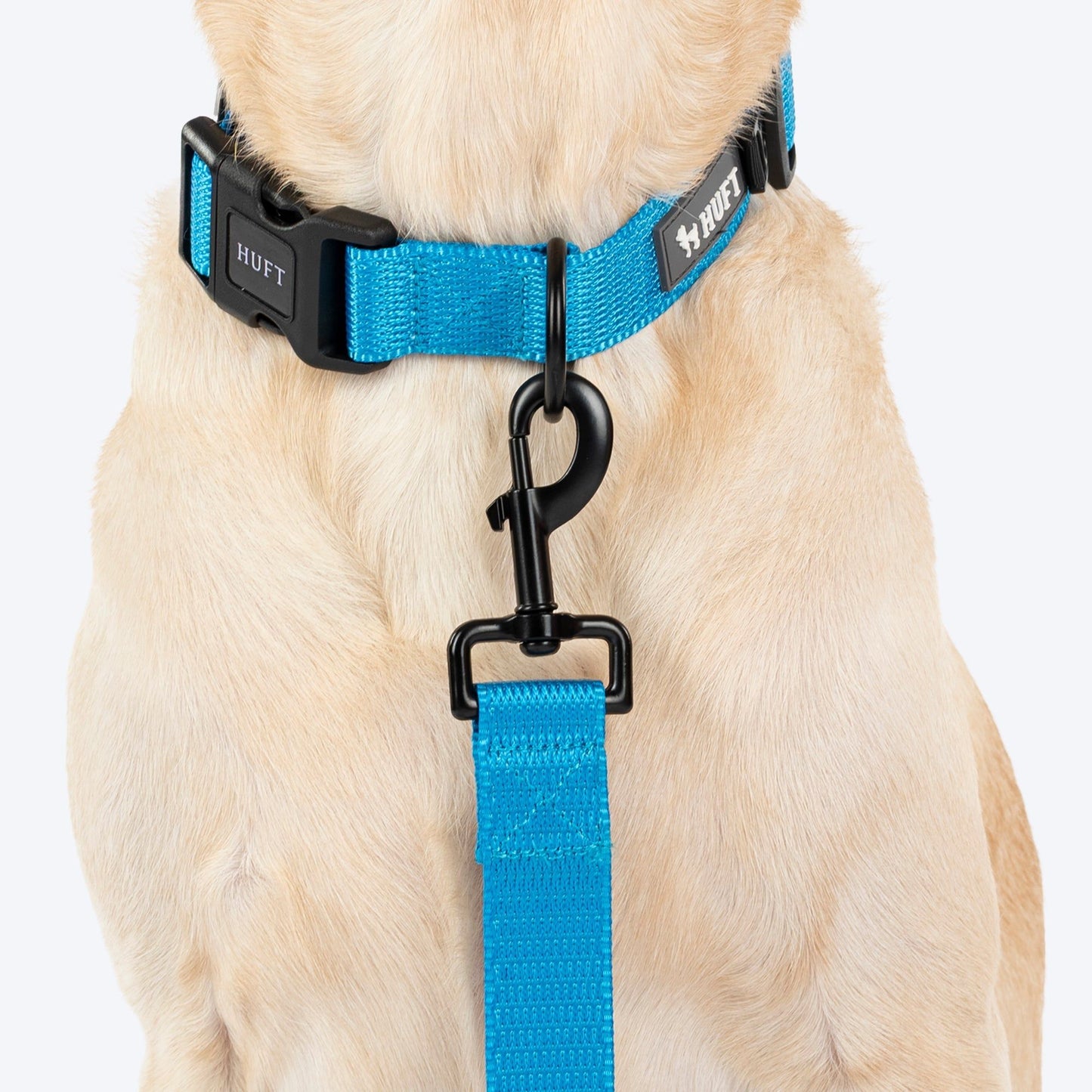 HUFT Classic Leash for Dogs — in use