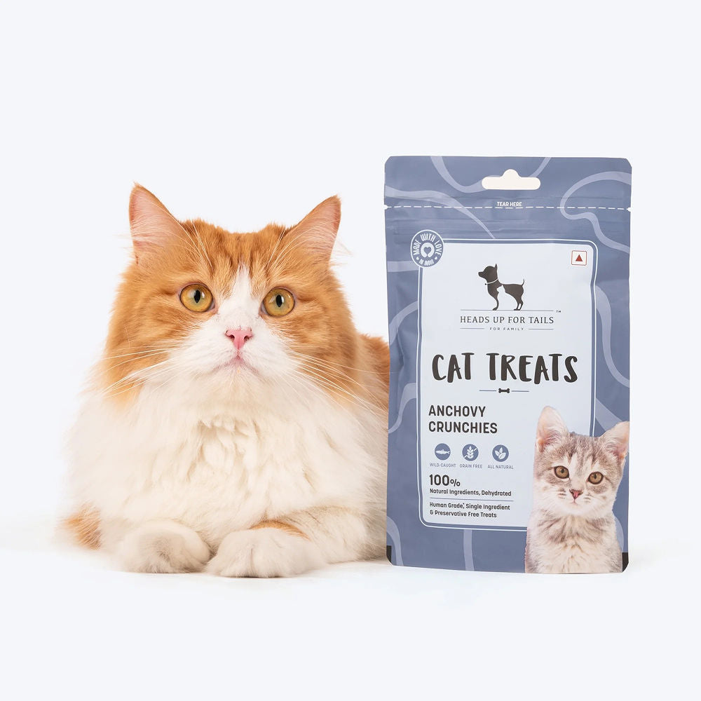 HUFT Dehydrated Anchovies Crunchies Cat Treats — side view