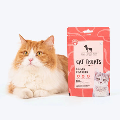 HUFT Dehydrated Chicken Crunchies Cat Treats — side view