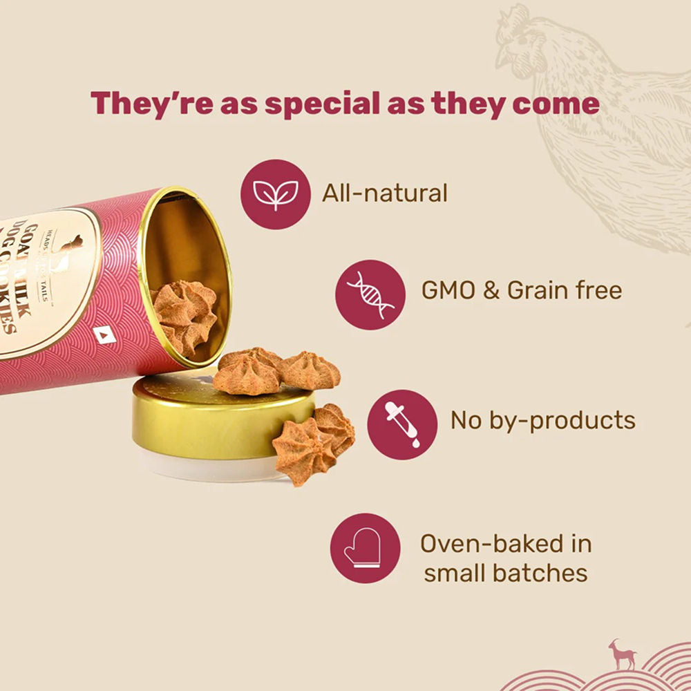 HUFT Gluten Free Goat Milk & Chicken Liver Cookie Dog Treats — detail shot