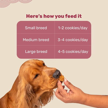 HUFT Gluten Free Goat Milk & Chicken Liver Cookie Dog Treats — in use