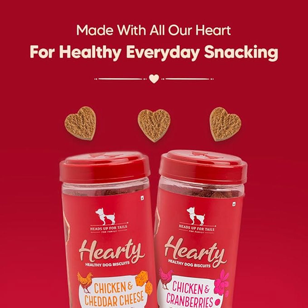 HUFT Hearty Chicken & Cranberries Healthy Biscuit Dog Treats — detail shot