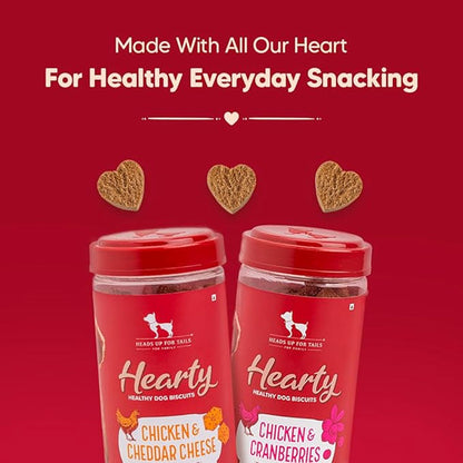 HUFT Hearty Chicken & Cranberries Healthy Biscuit Dog Treats — detail shot