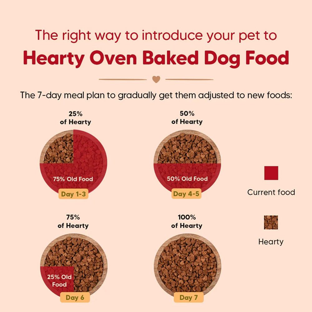 HUFT Hearty Oven Baked Chicken & Fish with Superfoods Puppy Dog Dry Food — back view