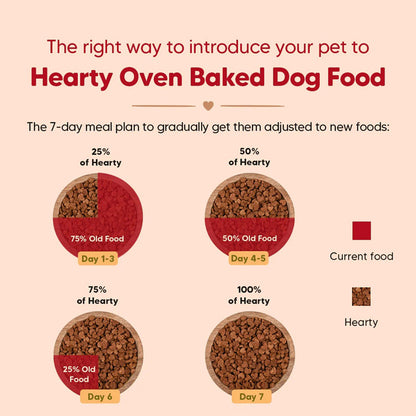 HUFT Hearty Oven Baked Chicken & Fish with Superfoods Puppy Dog Dry Food — back view