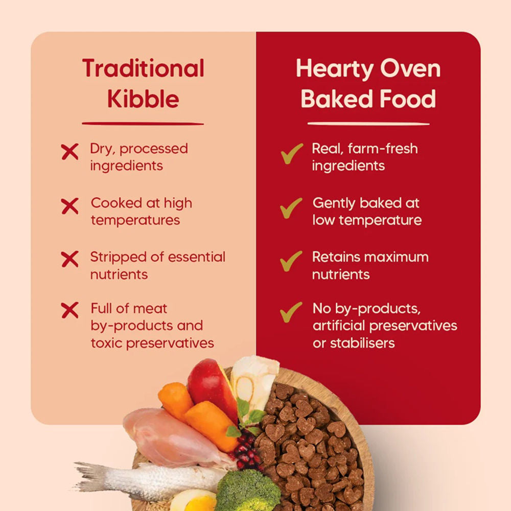 HUFT Hearty Oven Baked Chicken & Fish with Superfoods Puppy Dog Dry Food — detail shot