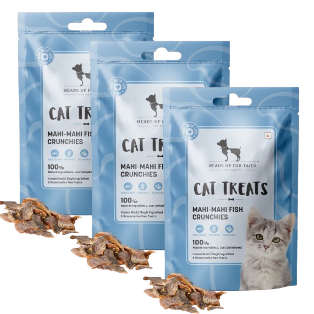 HUFT Mahi Mahi Fish Crunchies Chew Cat Treats — in use