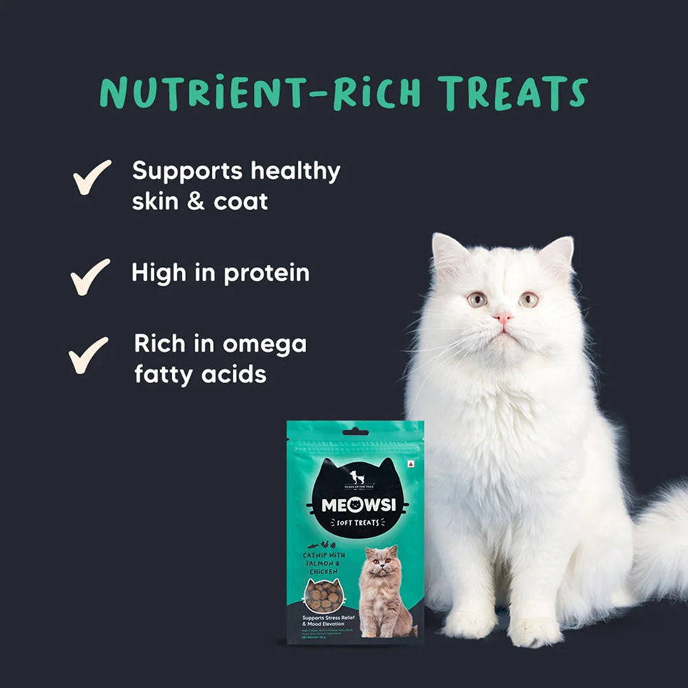 HUFT Meowsi Catnip with Salmon & Chicken Soft Cat Treats — detail shot