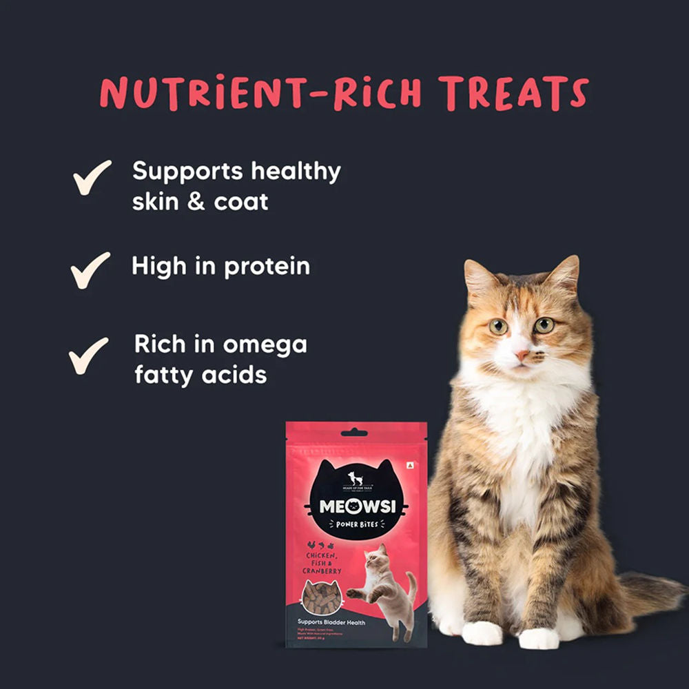 HUFT Meowsi Grain Free Chicken, Fish & Cranberry Power Bites Cat Treats — detail shot