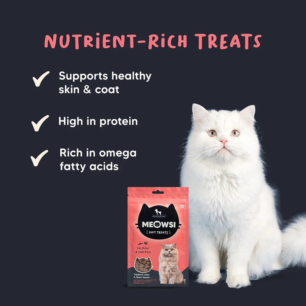 HUFT Meowsi Salmon & Chicken Soft Cat Treats — detail shot