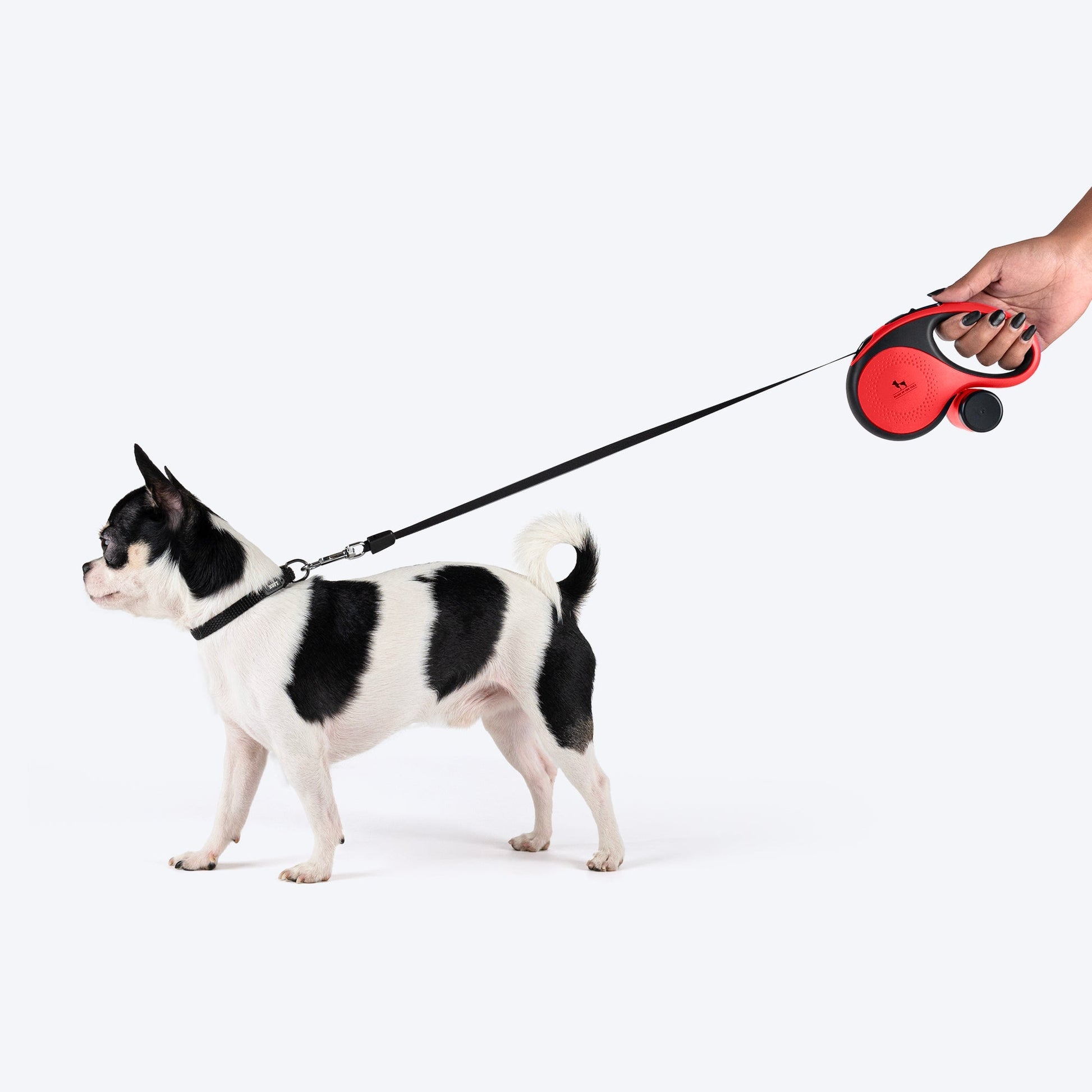 HUFT Retractable Leash With Poop Bag Dispenser for Dogs — back view