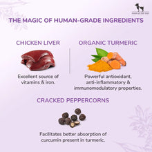Huft Saras Doggie Chicken Liver With Turmeric Dog Treats - Image 2