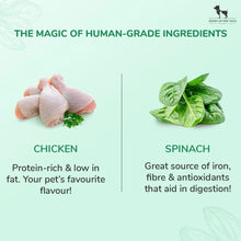 Huft Saras Doggie Grain Free Chicken With Spinach Jerky Dog Treats - Image 2