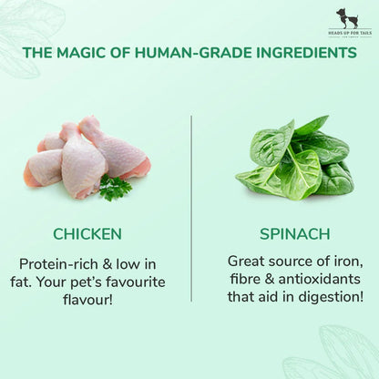 Huft Saras Doggie Grain Free Chicken With Spinach Jerky Dog Treats - Image 2