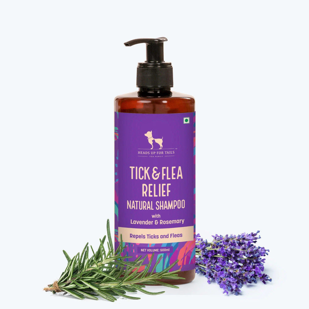 Huft Saras Natural Lavender Rosemary Flea Tick Relief Shampoo For Dogs
