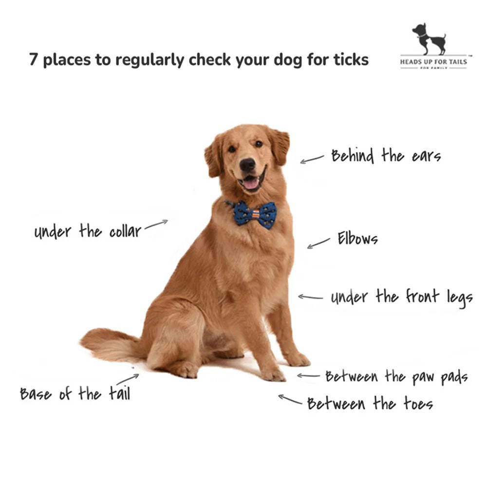 HUFT Sara's Organic Anti-Flea & Tick Spray for Dogs — back view