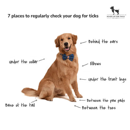 HUFT Sara's Organic Anti-Flea & Tick Spray for Dogs — back view