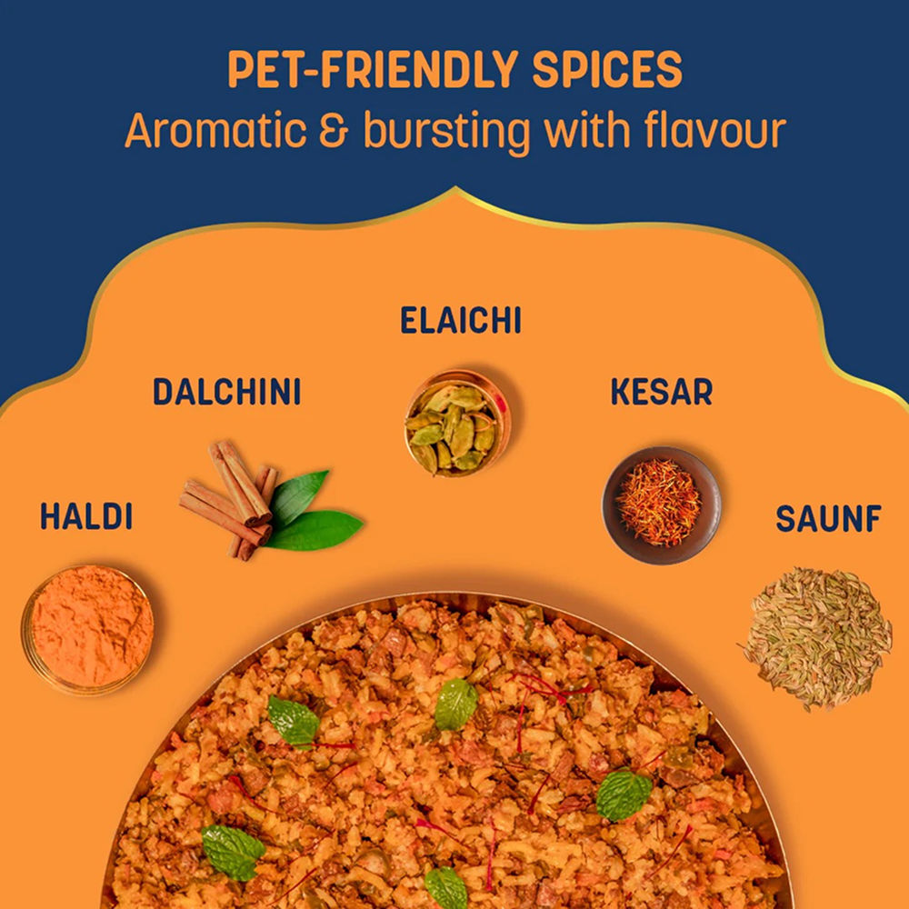 HUFT Sara's Wholesome Flavours Of India Chicken Biryani Dog Wet Food — detail shot