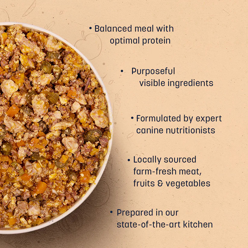 HUFT Sara's Wholesome Grain Free Chicken & Turkey Dog Wet Food — in use