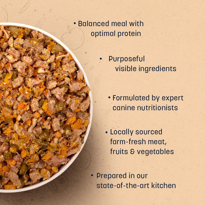 HUFT Sara's Wholesome Grain Free Lamb & Apple Dog Wet Food — back view