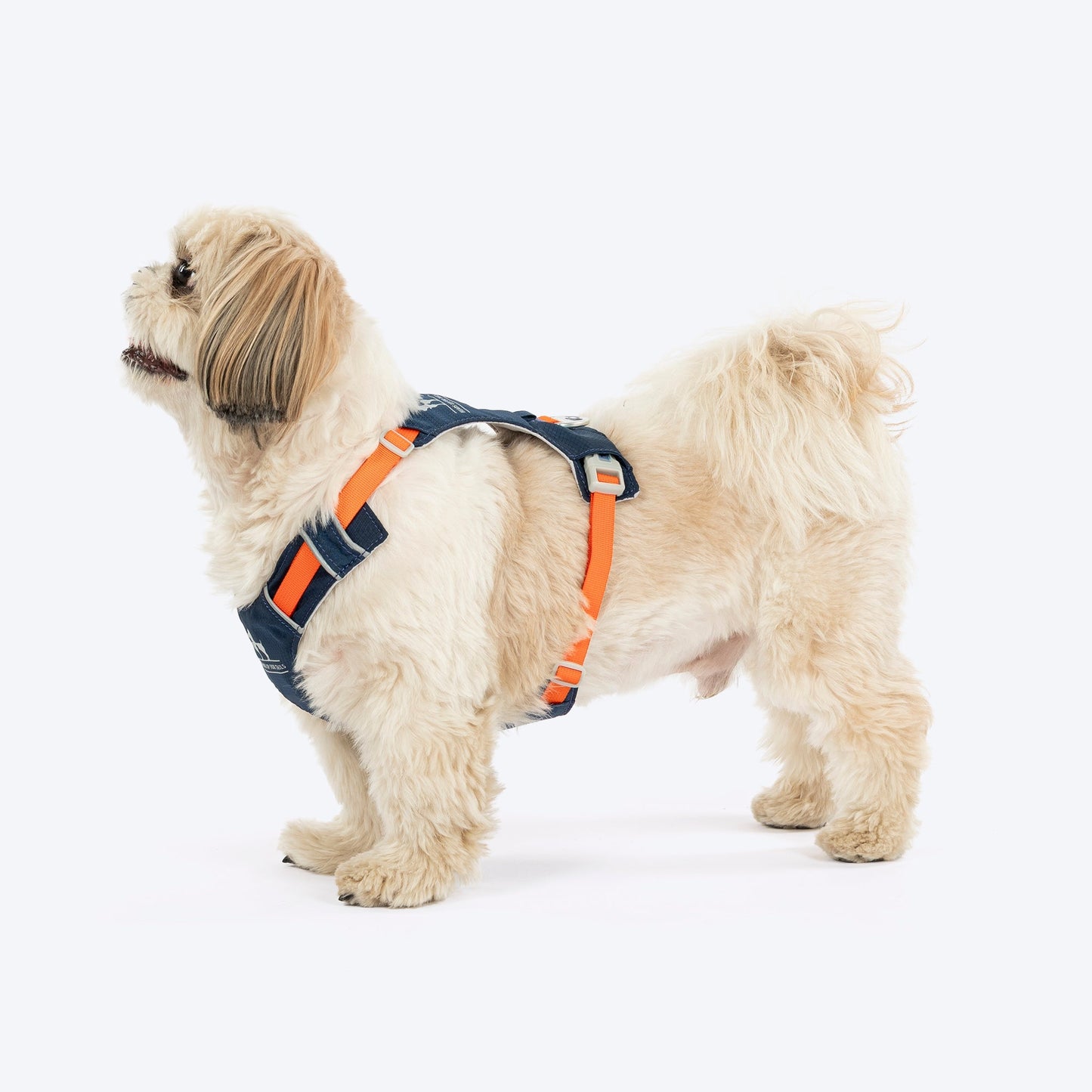 HUFT Walkmate Harness for Dogs — back view