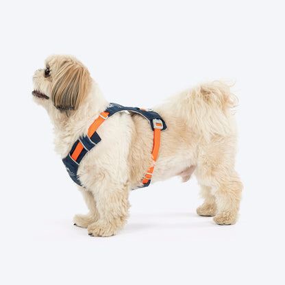 HUFT Walkmate Harness for Dogs — back view
