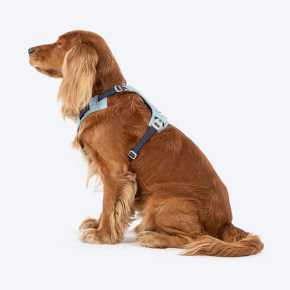 HUFT Walkmate Harness for Dogs — side view