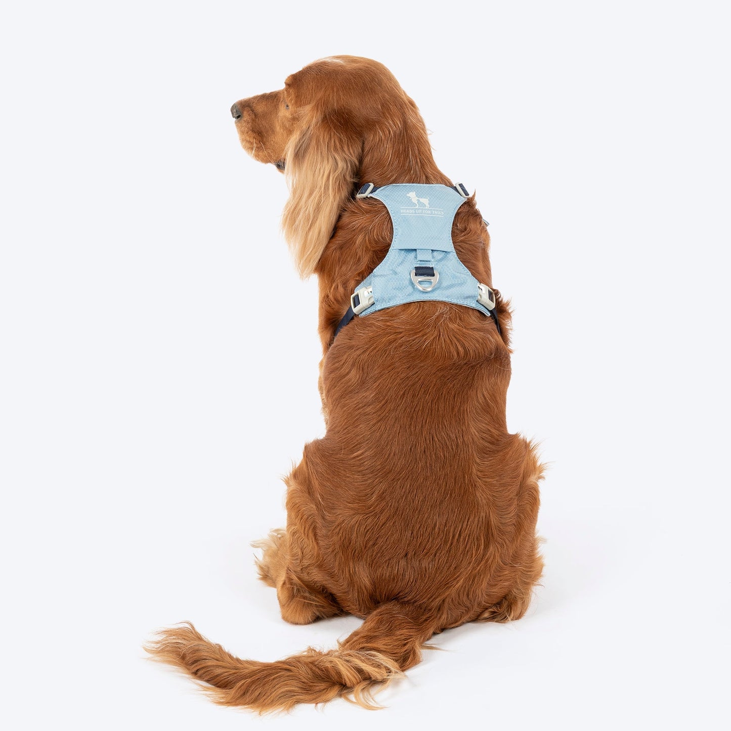 HUFT Walkmate Harness for Dogs — back view