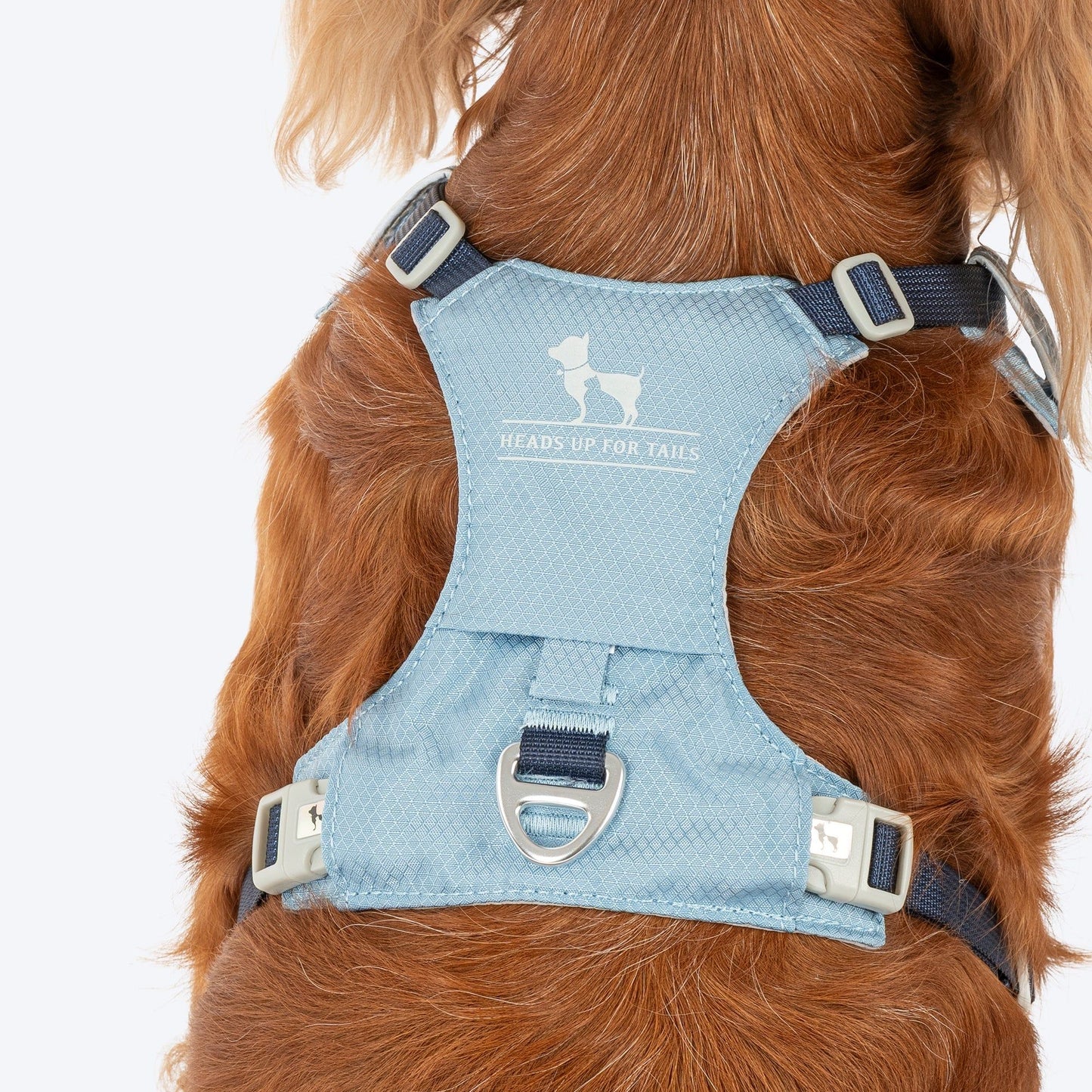 HUFT Walkmate Harness for Dogs — detail shot