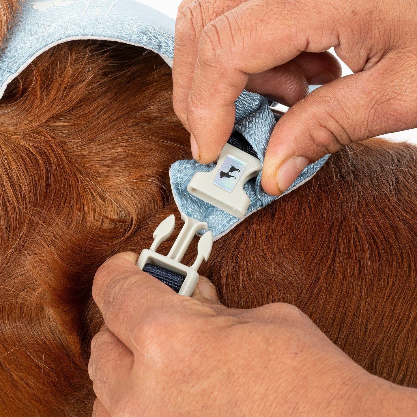 HUFT Walkmate Harness for Dogs — in use