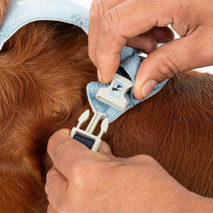 HUFT Walkmate Harness for Dogs — in use