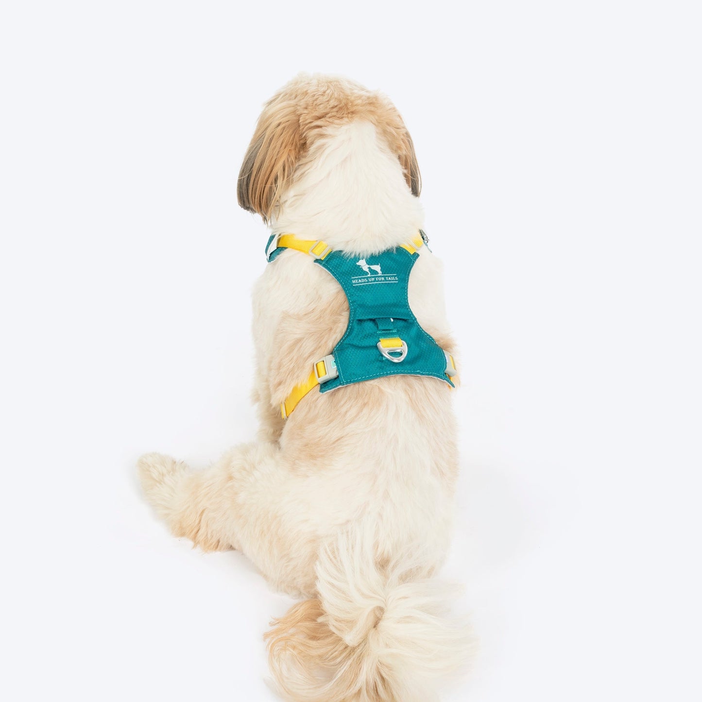 HUFT Walkmate Harness for Dogs — back view