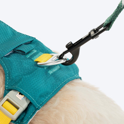 HUFT Walkmate Harness for Dogs — in use