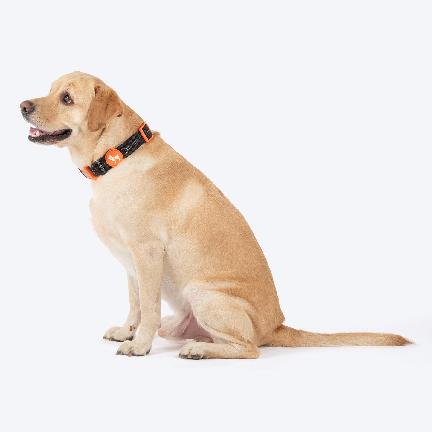HUFT Xplorers Collar for Dogs — side view