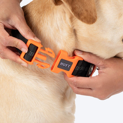 HUFT Xplorers Collar for Dogs — in use