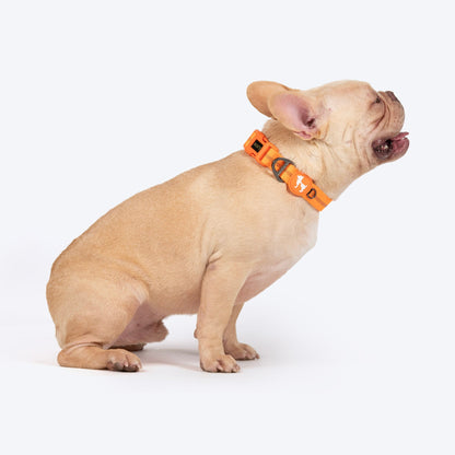 HUFT Xplorers Collar for Dogs — detail shot