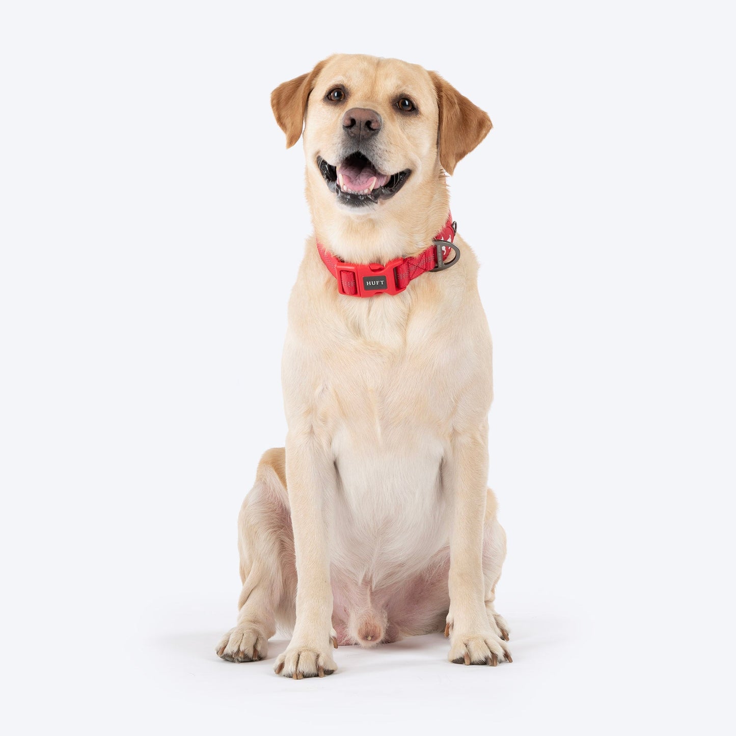 HUFT Xplorers Collar for Dogs — back view