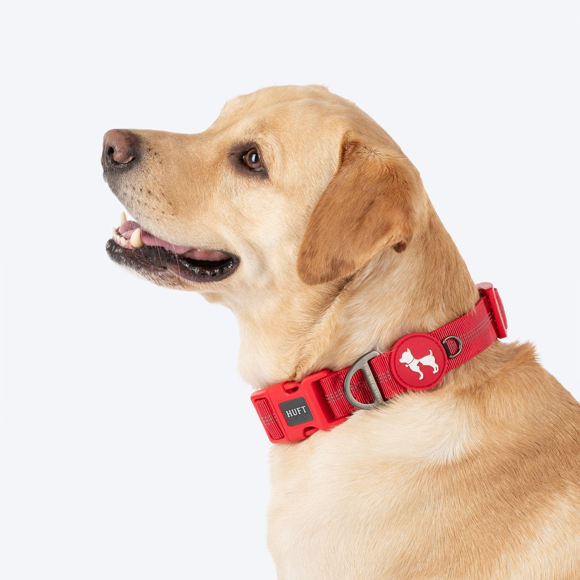 HUFT Xplorers Collar for Dogs — detail shot