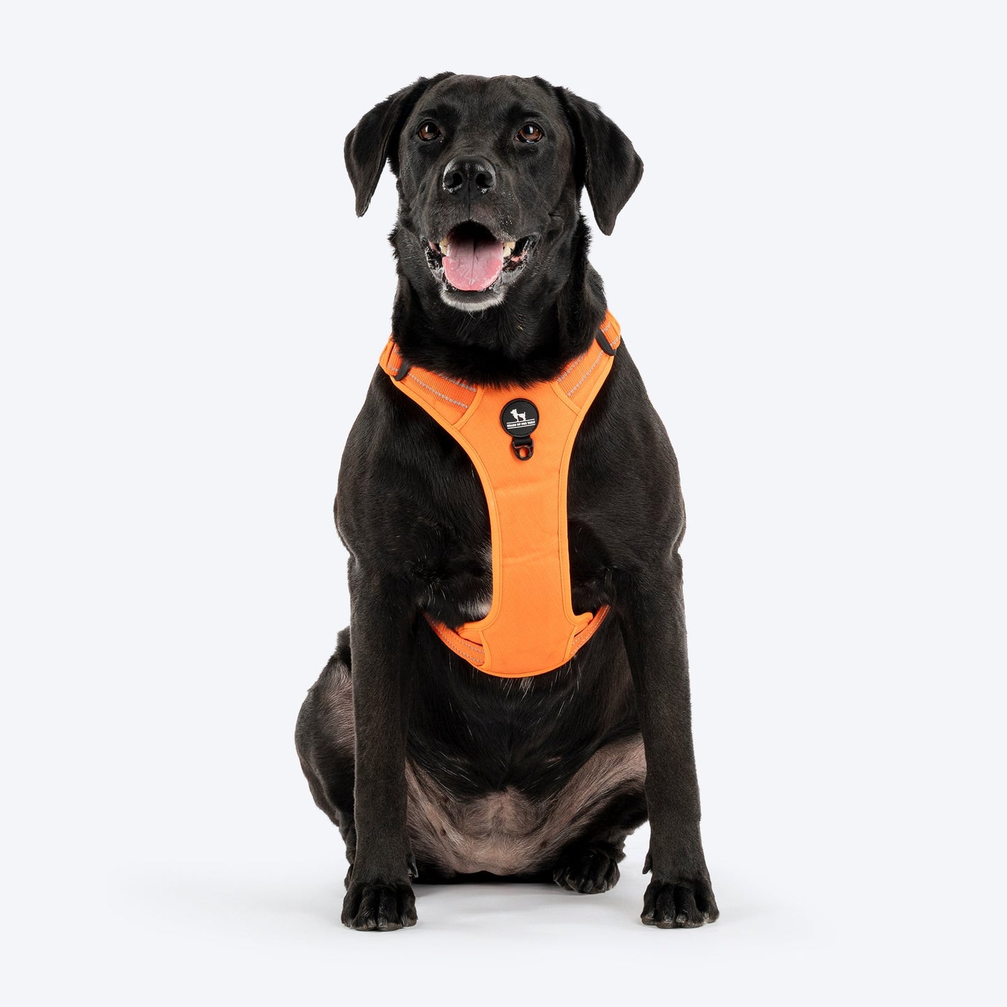 Huft Xplorers Harness For Dogs Orange