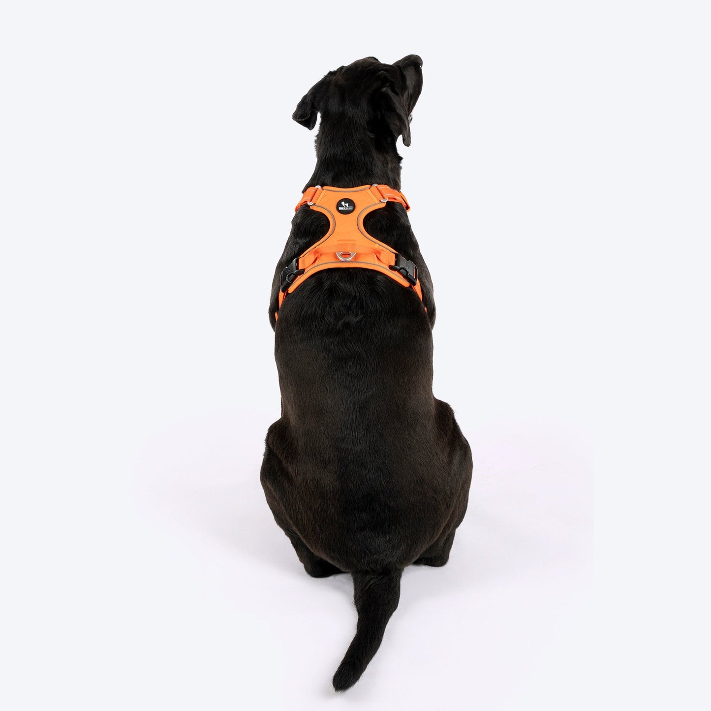 HUFT Xplorers Harness for Dogs — side view